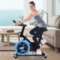Soozier Belt-Drive Upright Exercise Bike