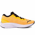 Puma Aviator Profoam Sky Men's Running Shoes - Orange