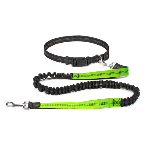 Hands-Free Adjustable Dog Leash for Running
