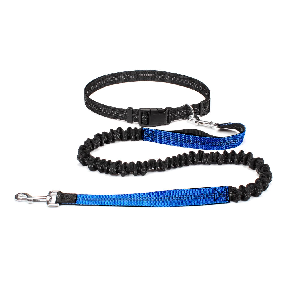Hands-Free Adjustable Dog Leash for Running