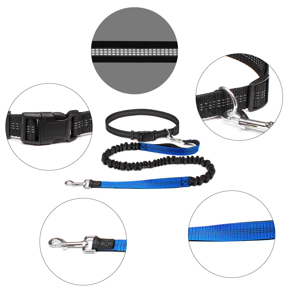 Hands-Free Adjustable Dog Leash for Running