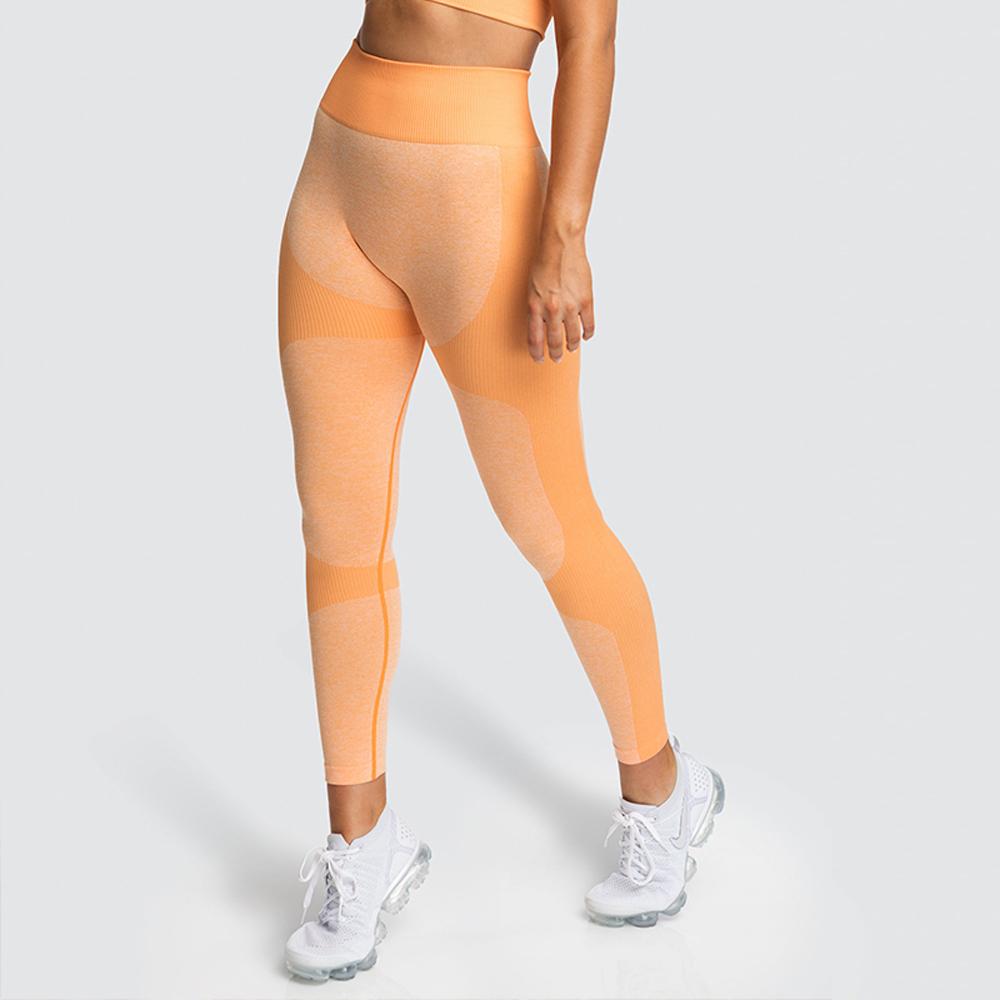 Women's Seamless Yoga Leggings &amp; Sports Bra Set