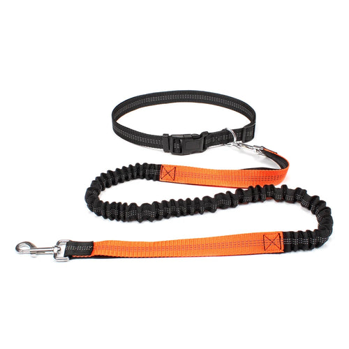 Hands-Free Adjustable Dog Leash for Running