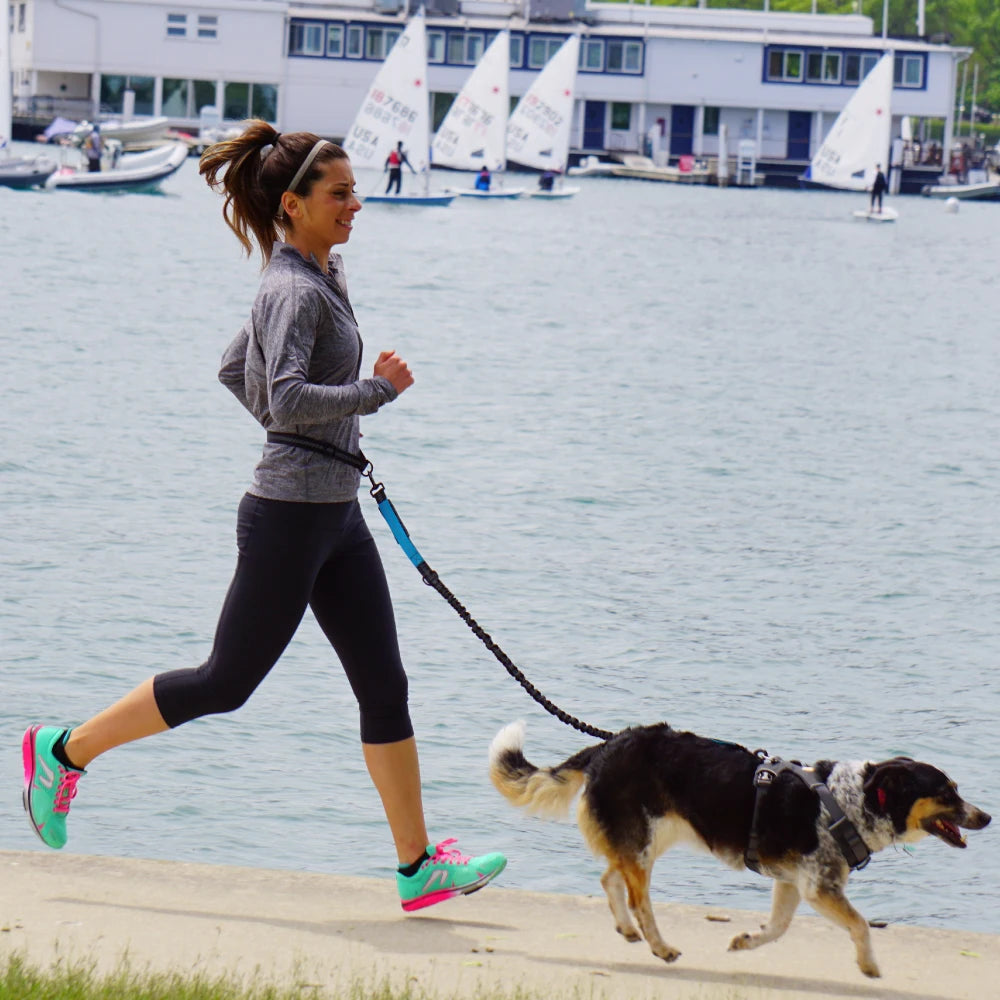 Hands-Free Adjustable Dog Leash for Running