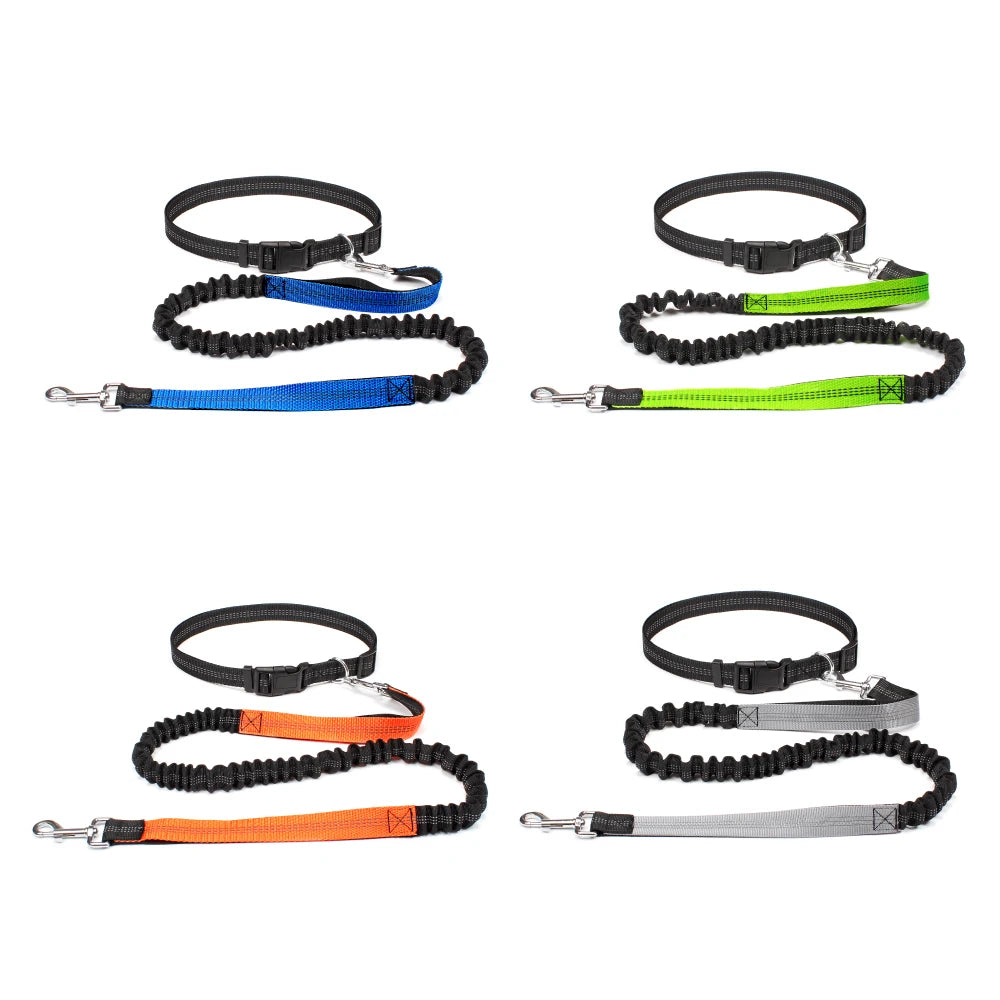 Hands-Free Adjustable Dog Leash for Running