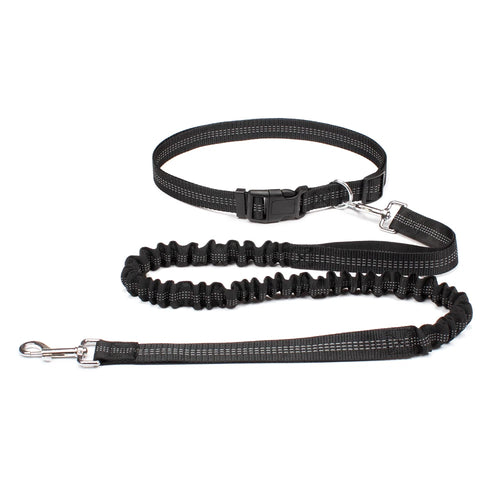 Hands-Free Adjustable Dog Leash for Running
