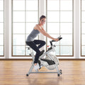 Soozier Adjustable Upright Exercise Bike